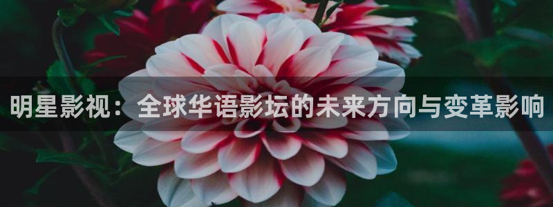 人人插人人播视频：明星影视：全球华语影坛的未来方向与变革影响