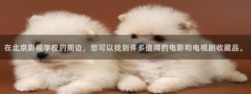 人人超人人超碰超国产：在北京影视学校的周边，您可以找到许多值得的电影和电视剧收藏品。