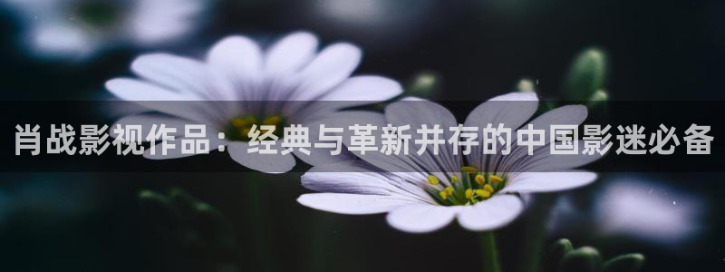 在线视频人人精品：肖战影视作品：经典与革新并存的中国影迷必备