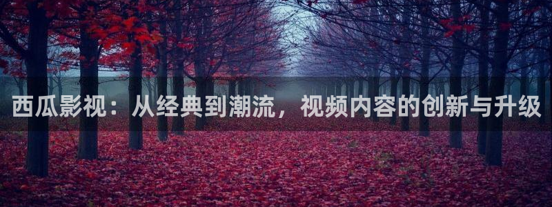 久久人人添人人爽添人人片：西瓜影视：从经典到潮流，视频内容的创新与升级