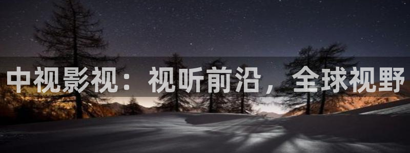 人人爱上我老婆电影免费观看：中视影视：视听前沿，全球视野