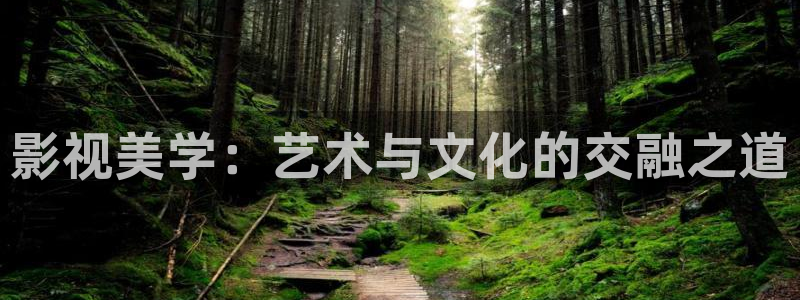 人人爽黄色片：影视美学：艺术与文化的交融之道