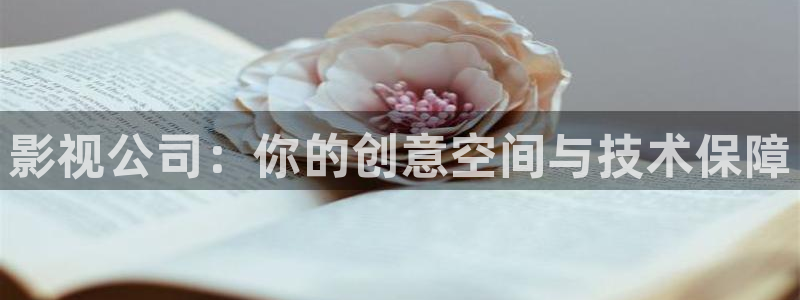 人人电影app下载：影视公司：你的创意空间与技术保障
